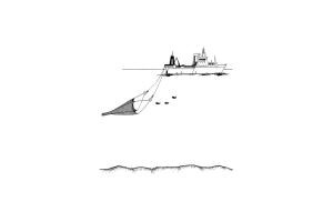 Addysg Gorfforol Midwater Trawl Net